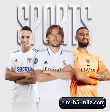 m-h5-mile.com的方向